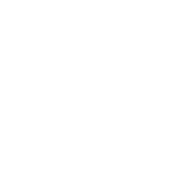 LeonInsuranceBlanco