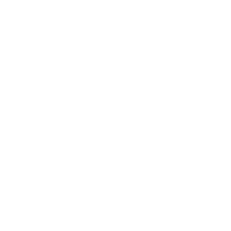 RayConceptLogo